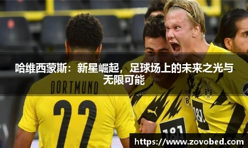 zoty中欧